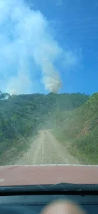 Incêndios em vegetação mobilizam bombeiros e ameaçam residências em Apiúna