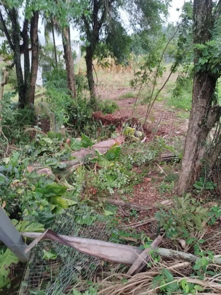 Whatsapp Image 2026 01 29 At 07.03.27 (1)