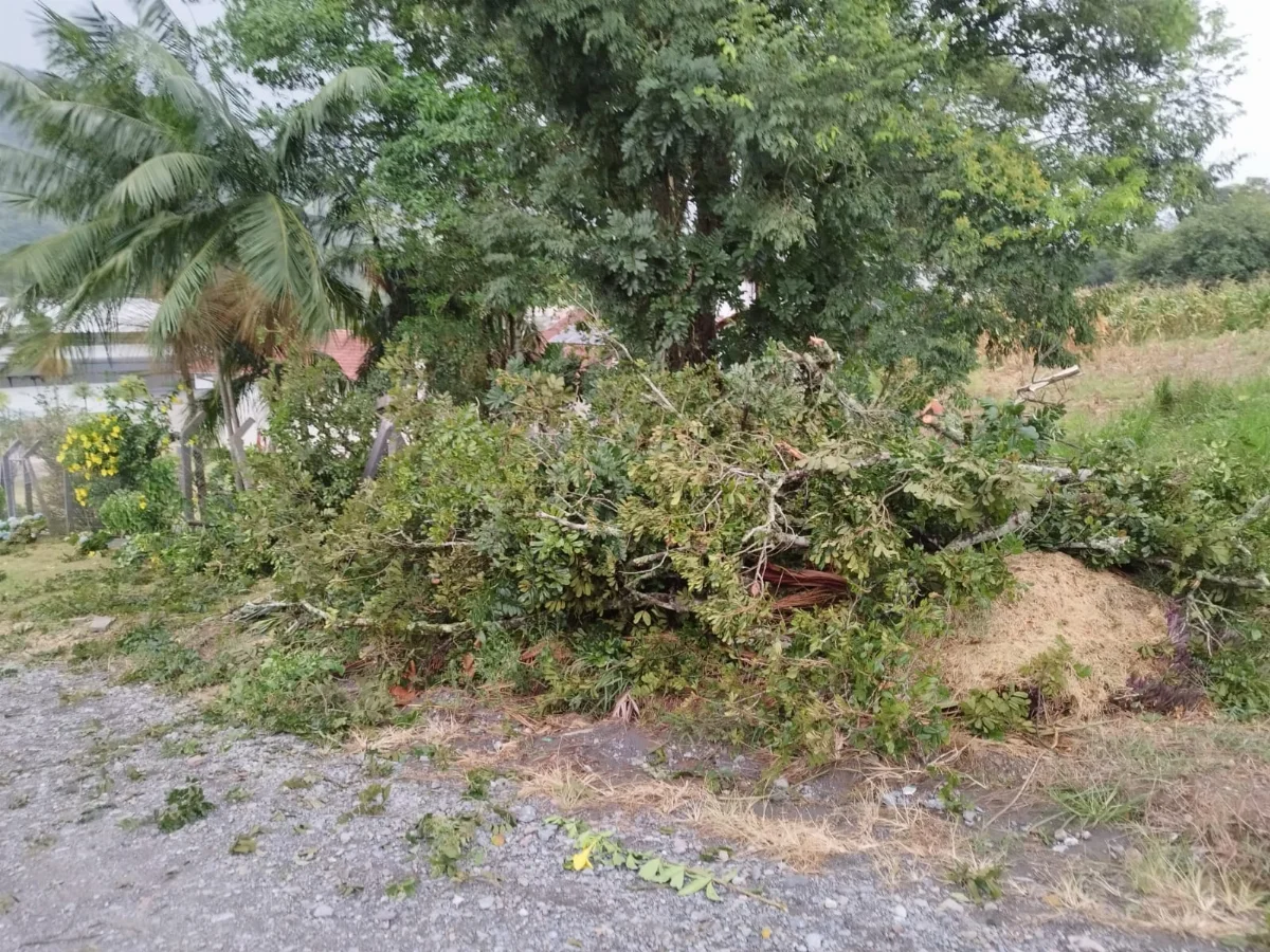 Whatsapp Image 2026 01 29 At 07.03.28