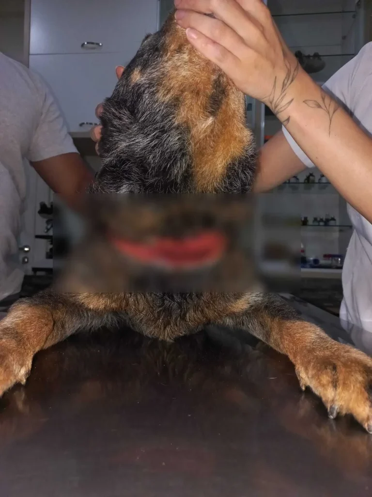 B39c958a 2fb4 44d1 96db 592a2db19cea