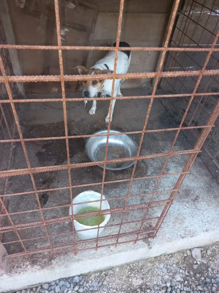 E6a0f9e2 9b66 4839 Ae4a 8eb18152bb8b