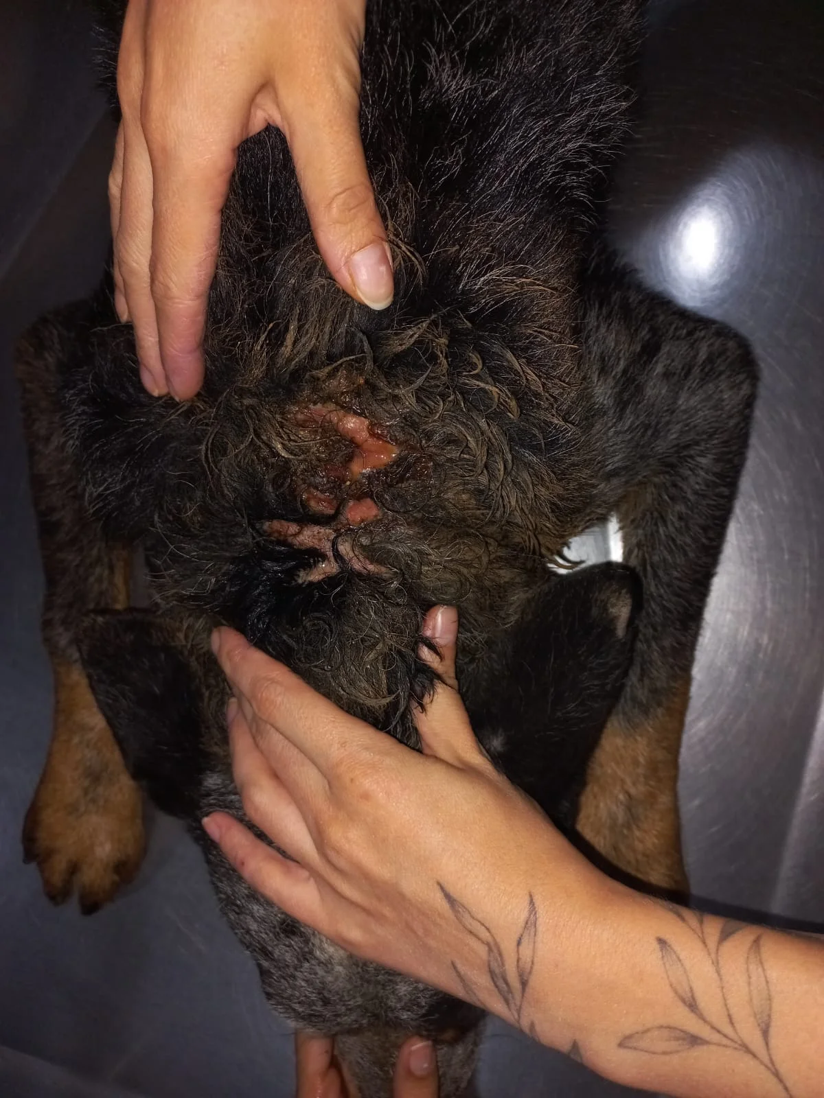 E9fb4390 2562 4152 B544 08458afe0236