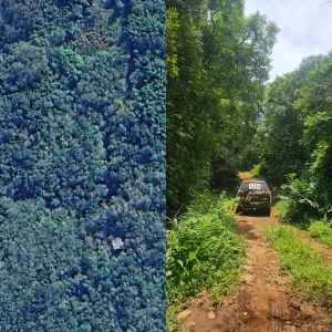 Adolescente desaparecida em Itajaí é encontrada morta no Rio Grande do Sul