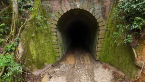 Tunel
