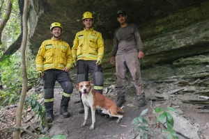 Cão cai em ribanceira e é resgatado pelos bombeiros, em Vidal Ramos