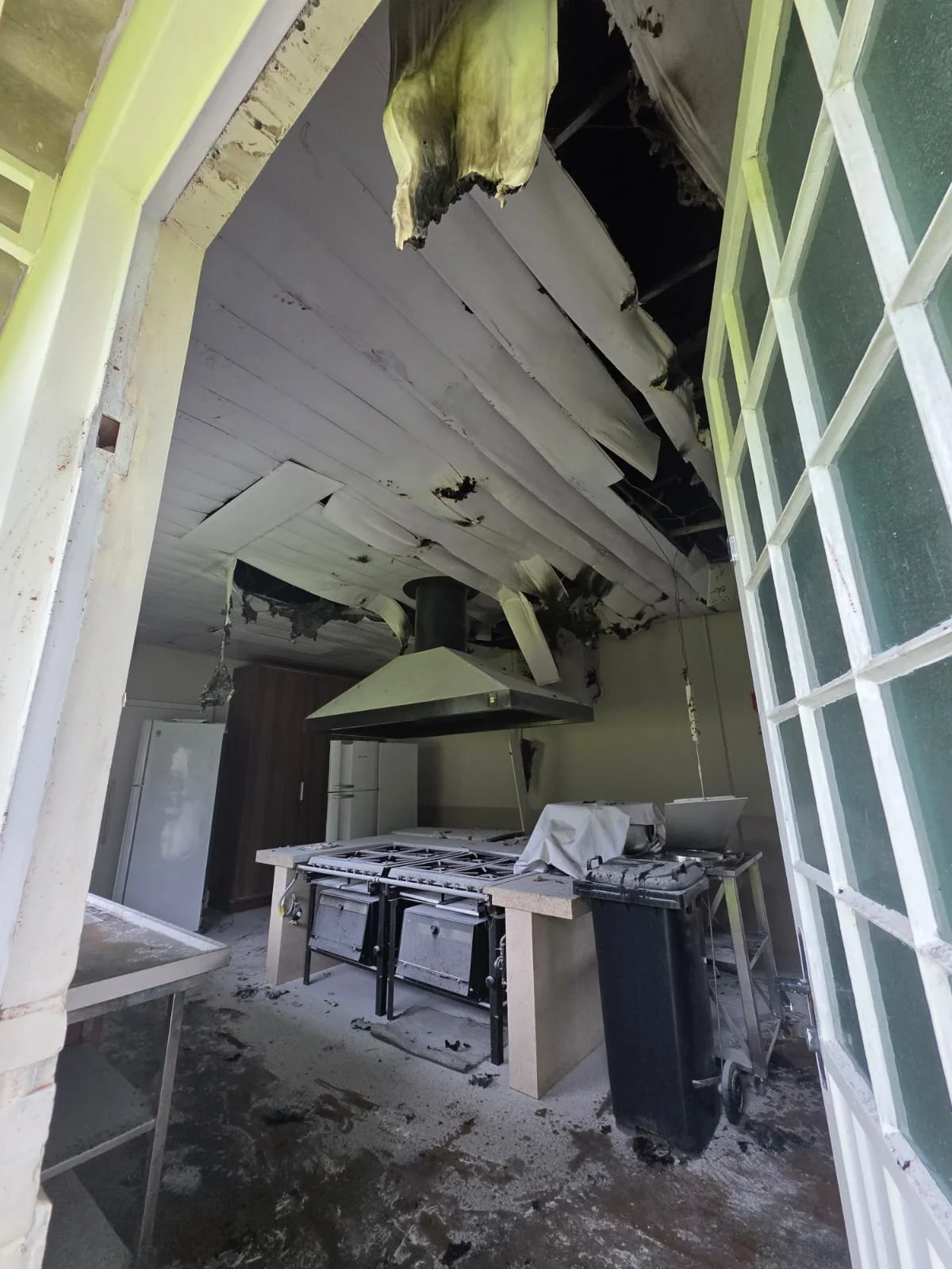 44511ac4 4be6 49a6 A2a6 Fd886f7121c9