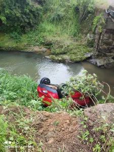 Homem é atacado por abelhas após colidir o carro, em Rio do Sul