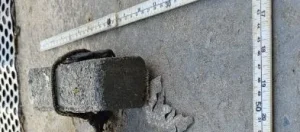 Tartaruga-verde é encontrada morta amarrada a concreto em Itapema; imagens chocam