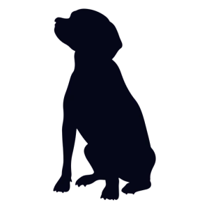 Crueldade: cães são baleados em Ituporanga