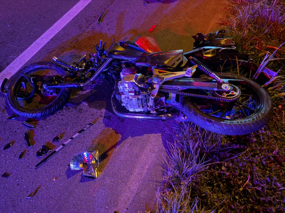 Img 20260201 Wa0031.jpg