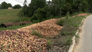 Crise da cebola avança e mais municípios decretam emergência