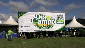 Negócios, conhecimento e tecnologia em um só lugar