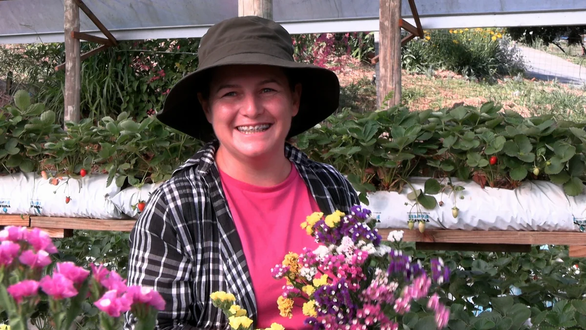 Jr 0210 B7.00 05 18 29.quadro047