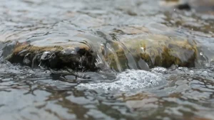 Agrotóxicos na água acendem alerta no Alto Vale