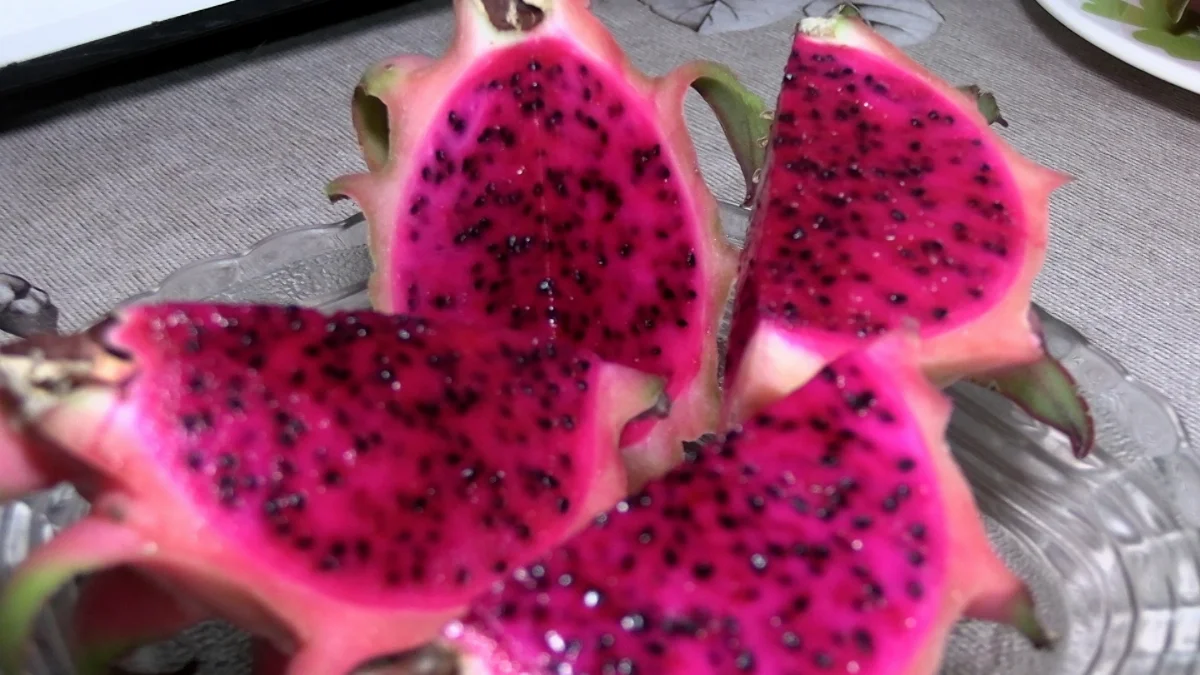 Jr 0210 B7.00 06 07 04.quadro032