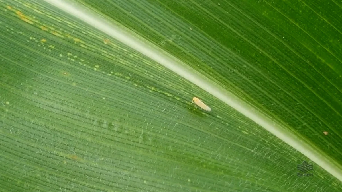 Jr 0210 B7.00 06 12 11.quadro030