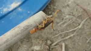 Jr 0210 B7.00 11 28 24.quadro032