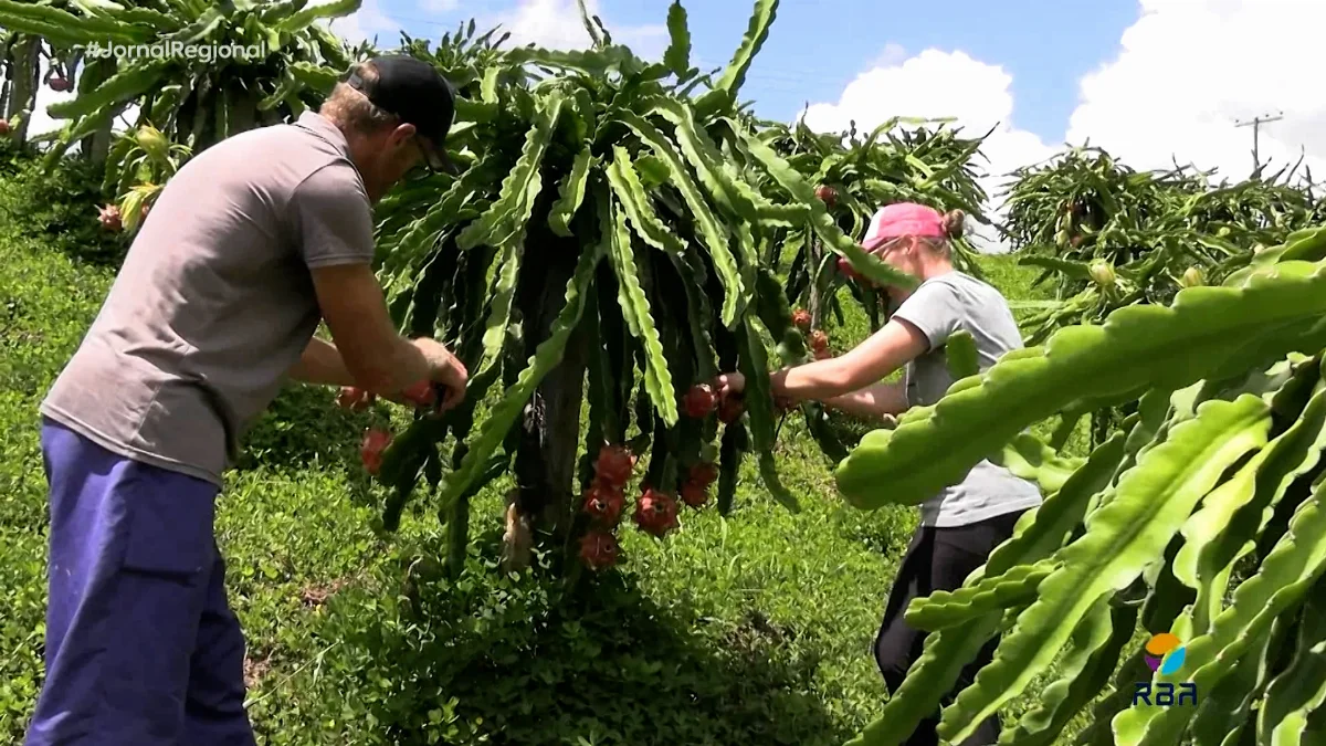 Jr 0210 B7.00 14 11 18.quadro037