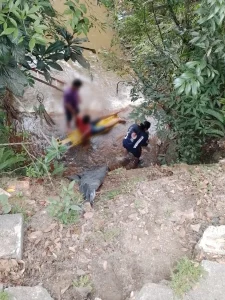 Máquina agrícola cai de ponte de seis metros e deixa dois feridos em Lontras