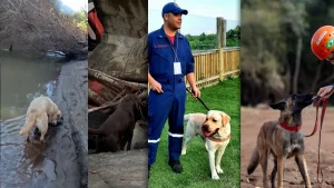 Sequência 01.00 04 55 29.quadro026