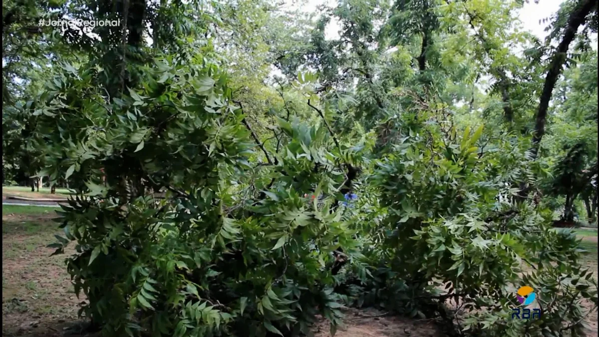 Sequência 01.00 09 58 14.quadro019