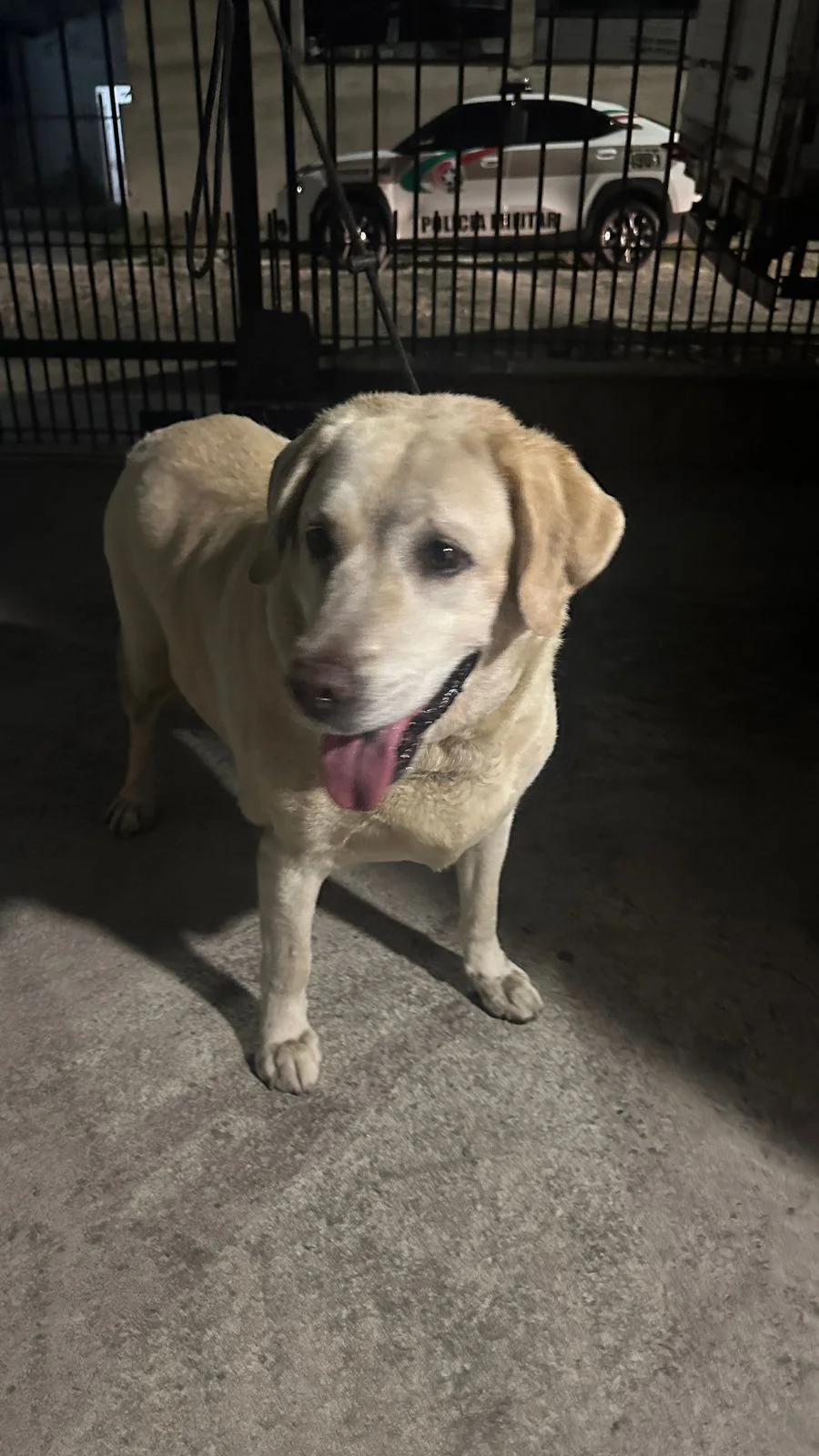 Whatsapp Image 2026 02 02 At 16.04.51 (1)