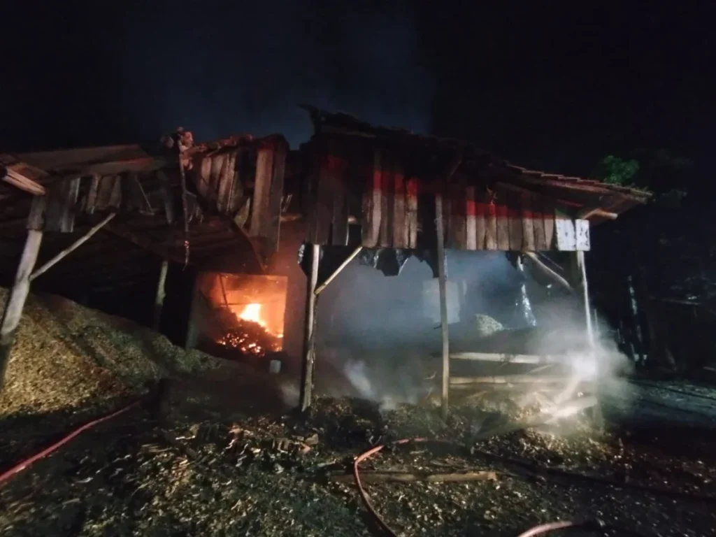 Whatsapp Image 2026 02 03 At 05.59.00