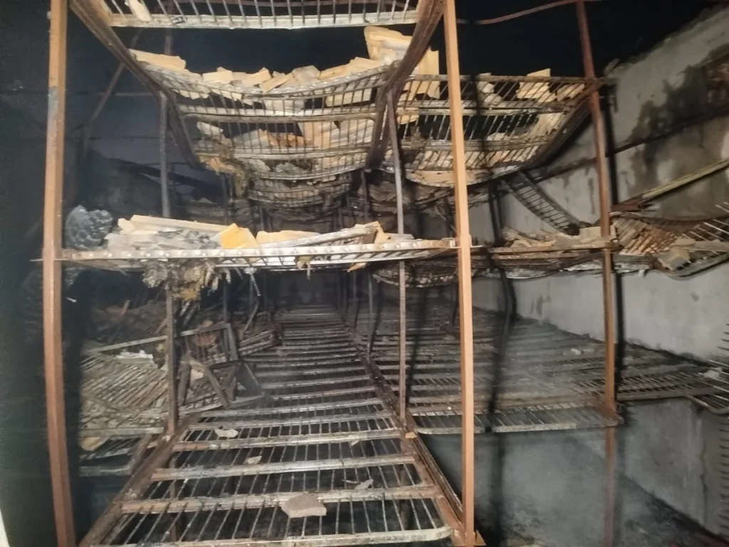 Whatsapp Image 2026 02 03 At 05.59.01