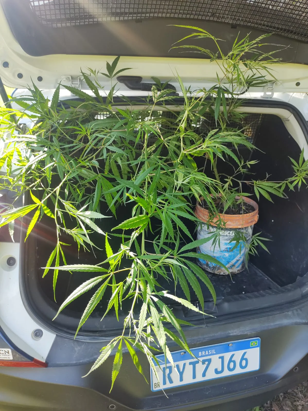 Whatsapp Image 2026 02 03 At 11.15.46