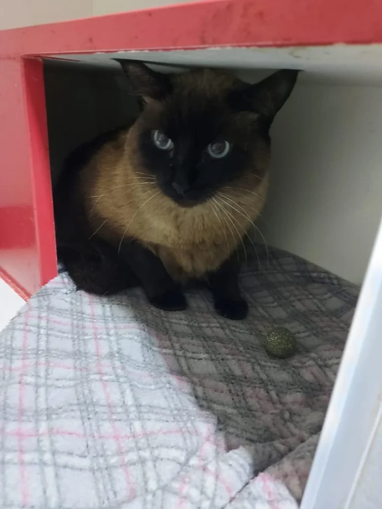 Whatsapp Image 2026 02 05 At 16.41.40