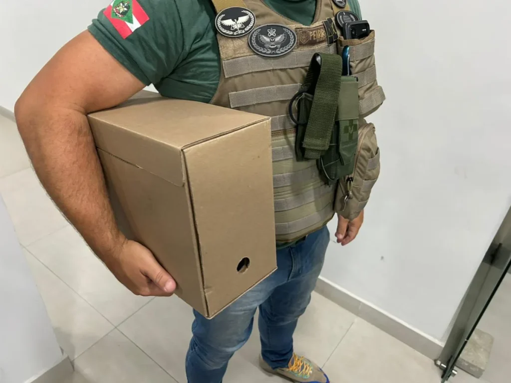 Whatsapp Image 2026 02 06 At 06.24.16 (1)