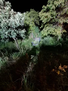 Carro sai da pista, capota em ribanceira e deixa motorista ferido na SC-350