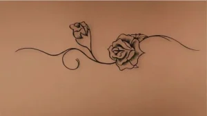 Whatsapp Image 2026 02 11 At 11.19.33