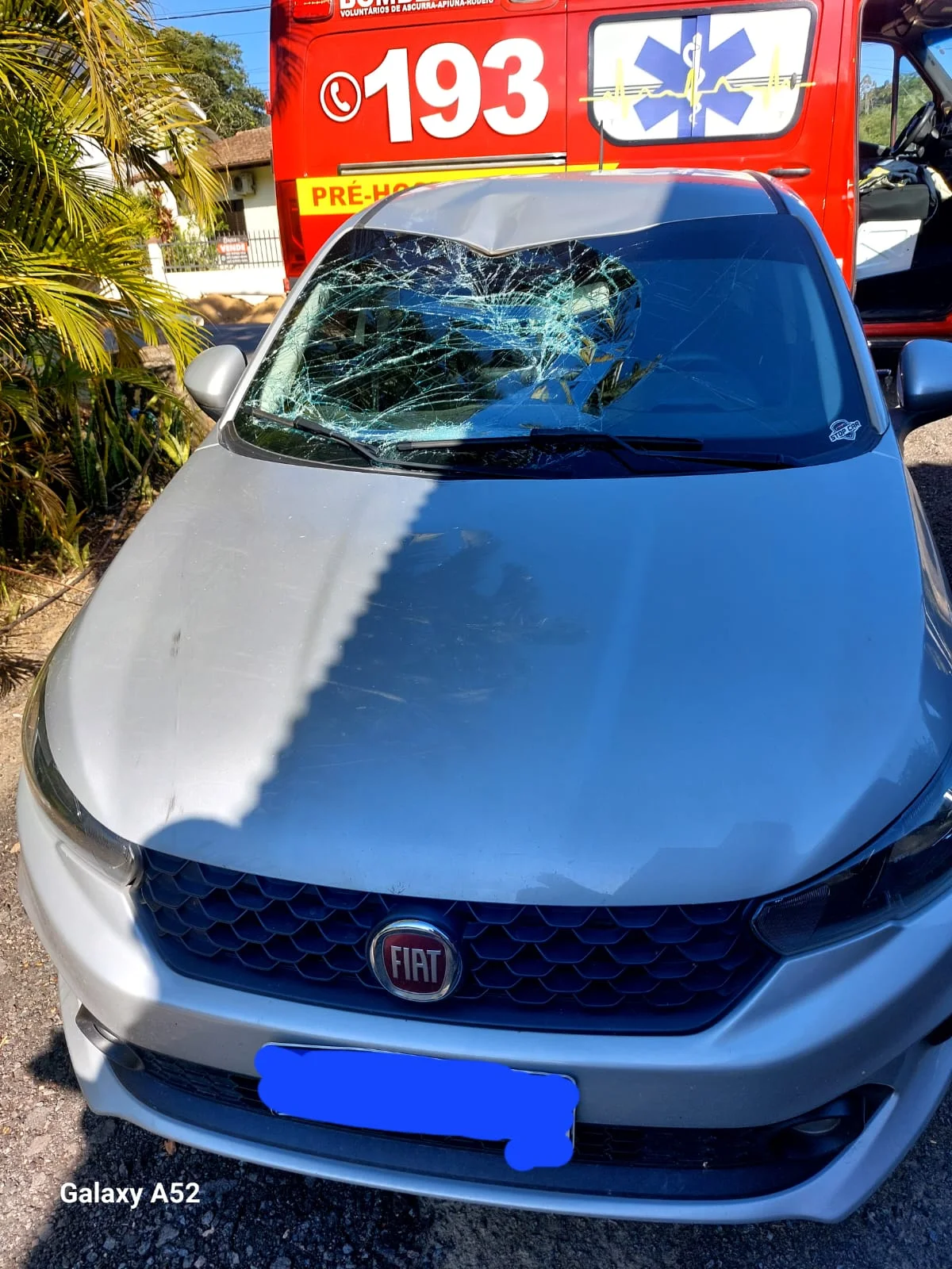 Whatsapp Image 2026 02 11 At 20.42.47