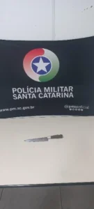 Homem é preso por esfaqueamento e mulher por atacar cachorro na mesma noite