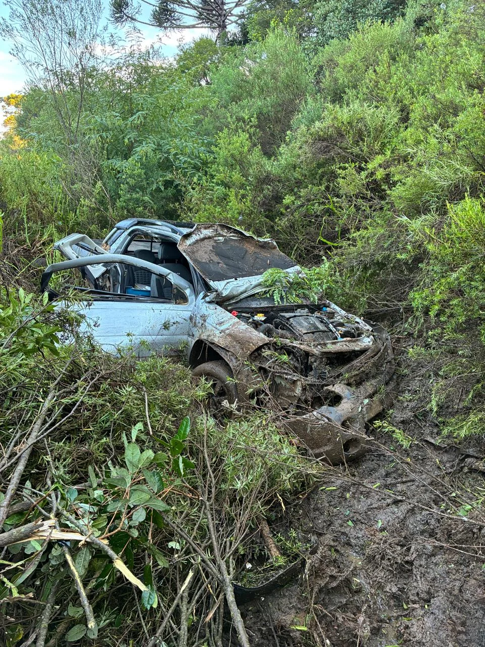 Whatsapp Image 2026 02 12 At 08.25.12