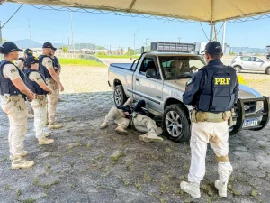 PRF mobiliza mais de 300 agentes de todo o país para reforçar segurança no Carnaval catarinense