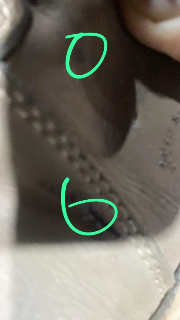 Whatsapp Image 2026 02 12 At 22.59.10 (1)