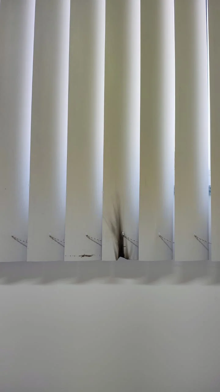 Whatsapp Image 2026 02 18 At 07.52.45