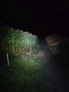 Idoso de 81 anos é encontrado após duas horas de buscas no interior de Presidente Getúlio