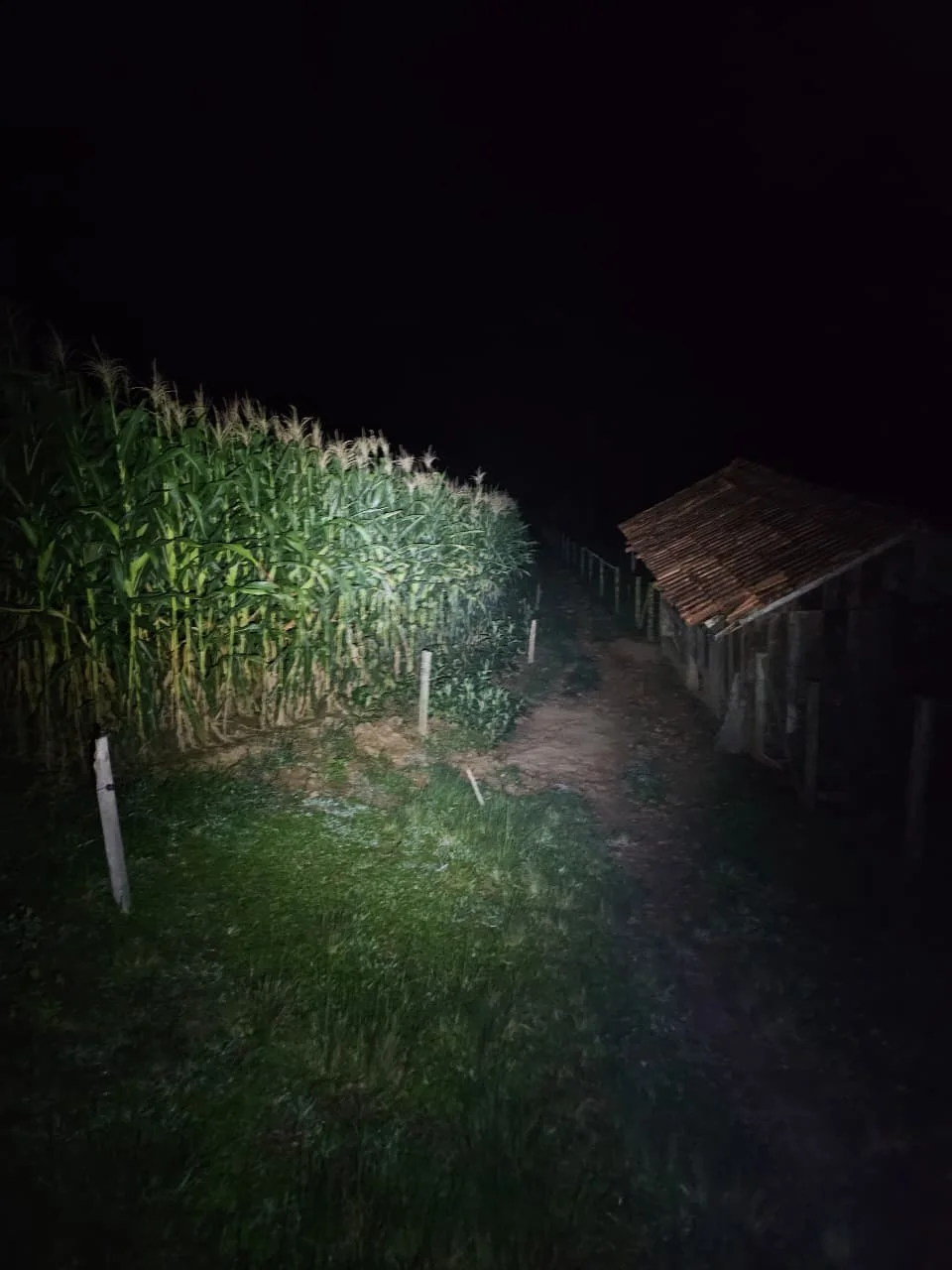 Whatsapp Image 2026 02 23 At 10.43.46