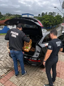 Polícia Civil cumpre mandados contra suspeito de golpe da falsa assessoria em Blumenau