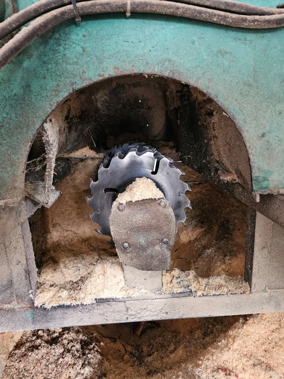 Whatsapp Image 2026 02 25 At 10.59.08