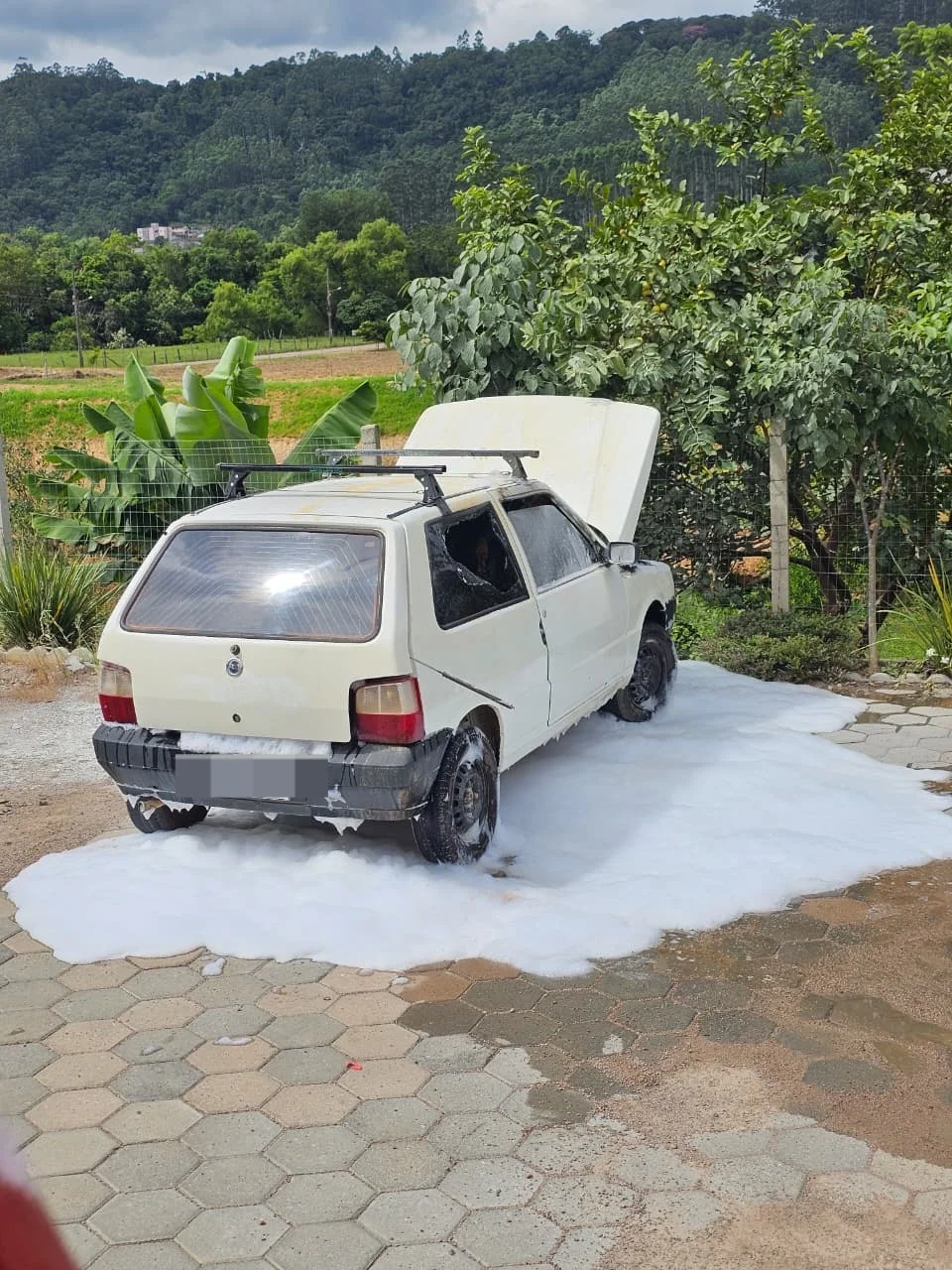 Whatsapp Image 2026 02 25 At 11.00.20