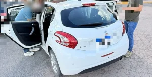 Polícia Civil prende idoso por tráfico de drogas em Lontras