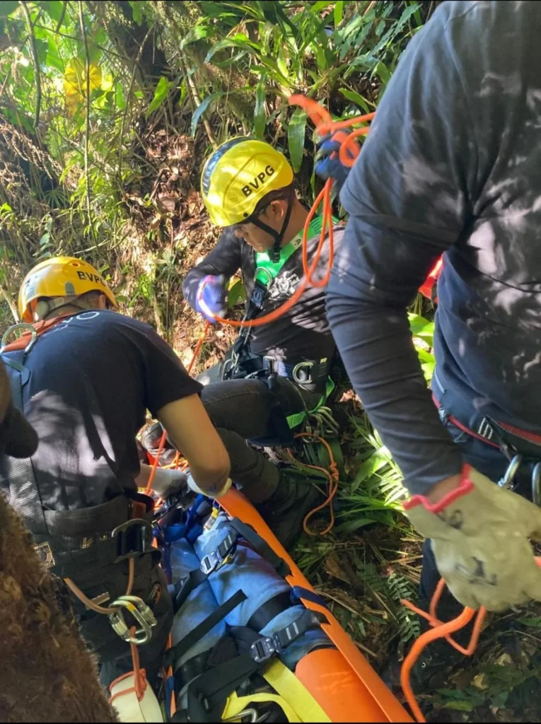 B2ee119a 3298 4c45 A8c5 Fc66a3deeb31