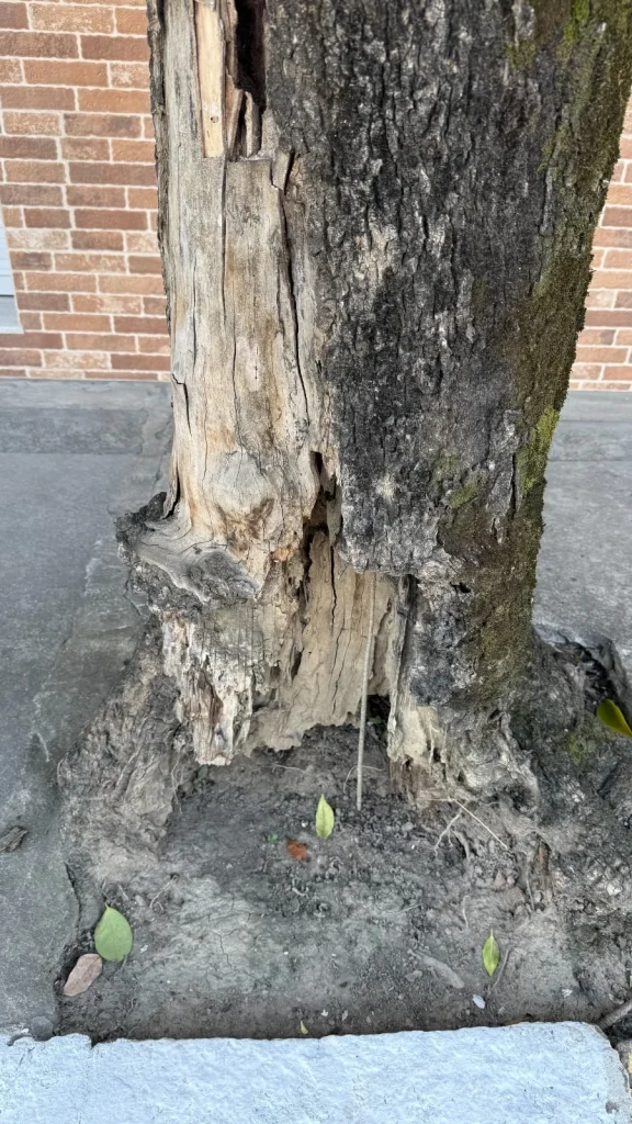 B3607108 3060 45da 8692 8595858b471c