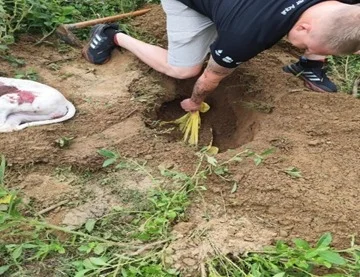 B74bce7b Eb19 4414 807f 48241ff2e6cc