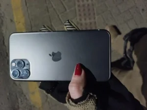 Funcionária é presa após furtar celular de colega em escola de Lontras