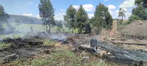 Bombeiros combatem incêndio em vegetação próximo a residências